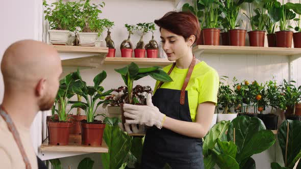 In the Floral Store Concept of Small Business alt