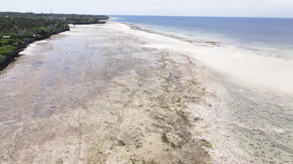 Zanzibar Tanzania  Low Tide in the Ocean Near the Shore alt