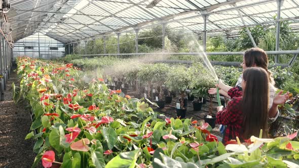 Woman with Daughter Watering Plants at Indoor Plantation alt