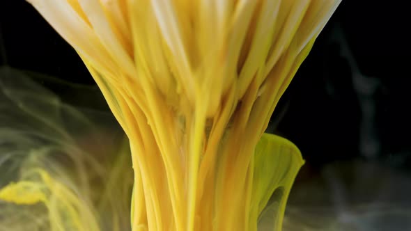 Colorful Paint Ink Flows a Flower Into the Water alt