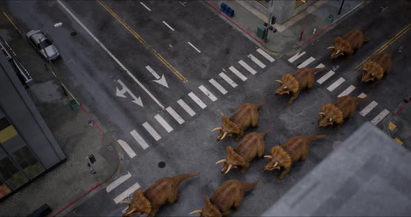 Triceratops Herd Walks Down a New York Street
