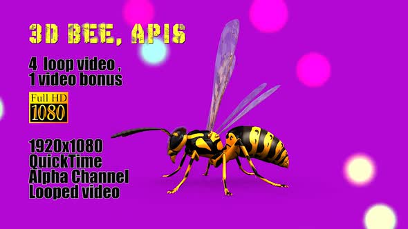 Bee Apis