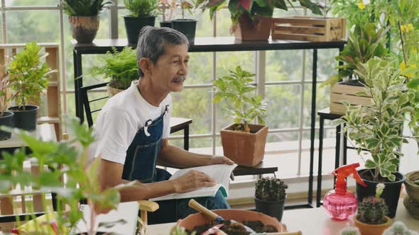 Agriculture concept. An Asian old man is reading a book to care for the trees inside a greenhouse alt