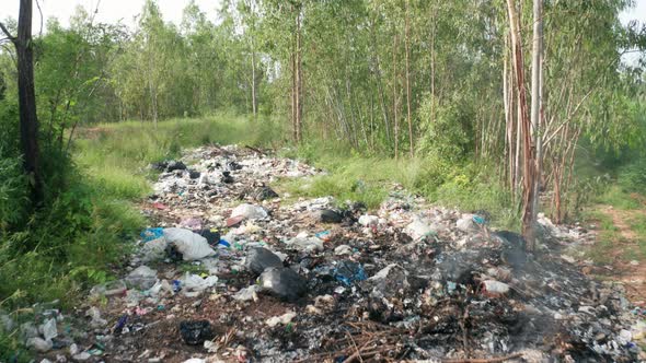 B roll of garbage dump in forest. Environment crisis. Garbage and fire burn.