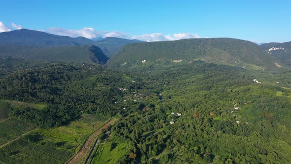 Aerial Shot of Large Vineyard Fields Among the Mountains alt