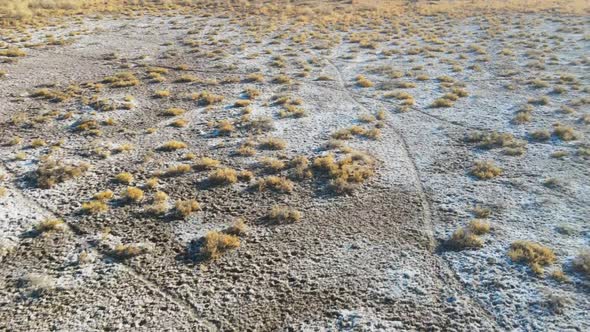 A Herd of Przewalski's Horses Gallops Across the Steppe Filmed From a Drone alt