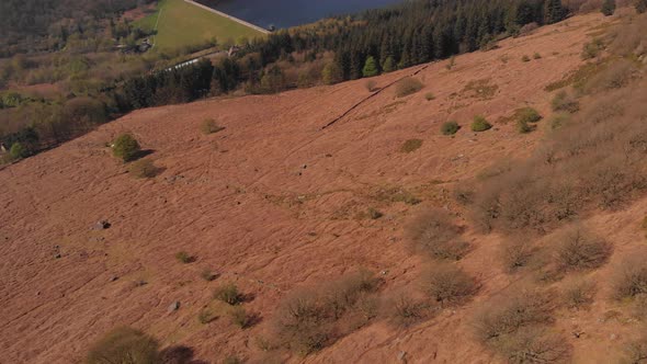 Drone travelling towards Lady Bower Reservoir Whilst panning up revealing Lady Bower Reservoir from alt