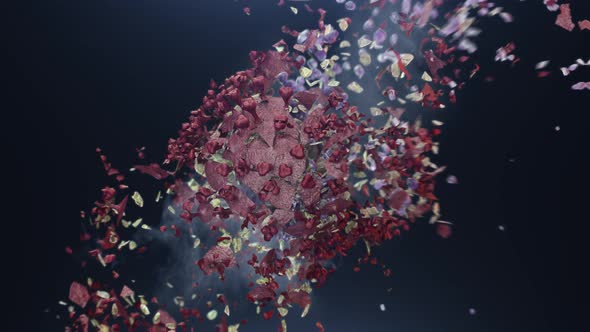 Explosion on the Fragments of Red Coronavirus alt