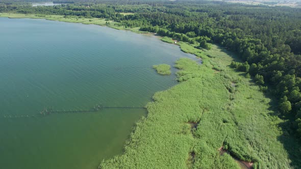 Fly along the shores of the lake, 4k drone.