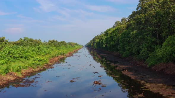 4K footage along a small river in the middle of the rainforest. 