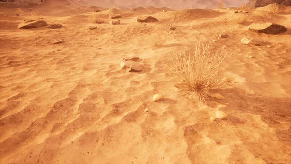 Gobi Desert And Yadan Landform