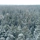 Winter Forest Aerial 2 - VideoHive Item for Sale