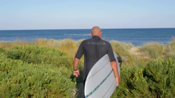 Rear view of man carrying surfboard on coast, Lorne, Victoria, Australia