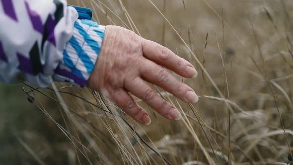 Female Hand Touches Dry Autumn Grass Plant in a Rural Valley Field at Sunset