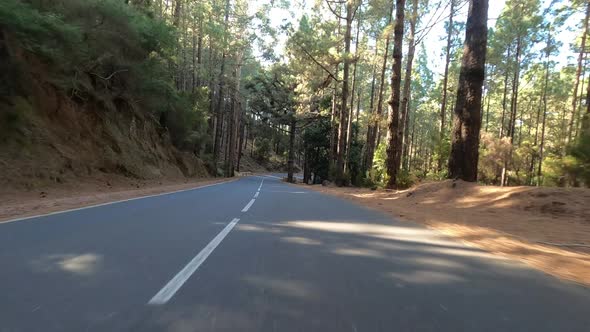 Road in Teide National Park, Tenerife, Canary Islands, Spain alt