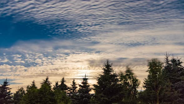 Day to Night Transition Above Forest