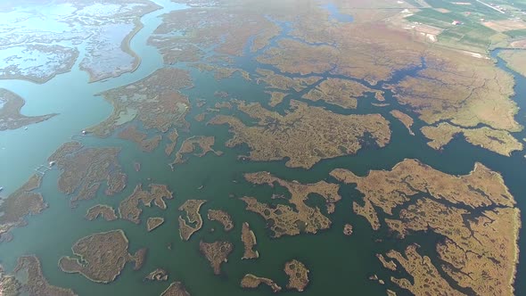 Aerial Delta Channels and Reeds alt