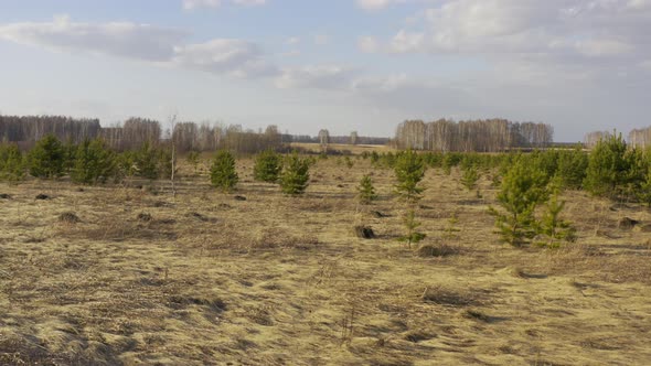 Flying Over a Field with Small Trees. alt