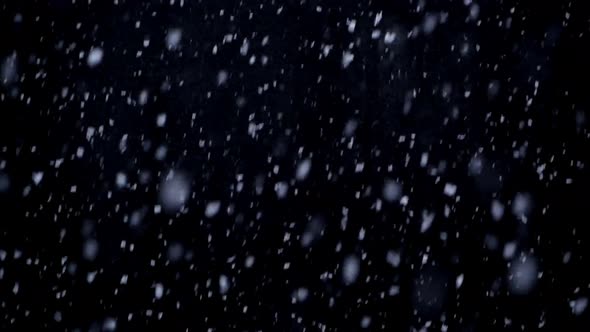 Falling snow in the night, snowflakes with black background in winter. alt