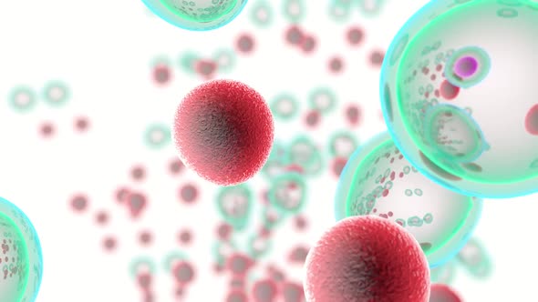 Embryonic Stem Cells alt