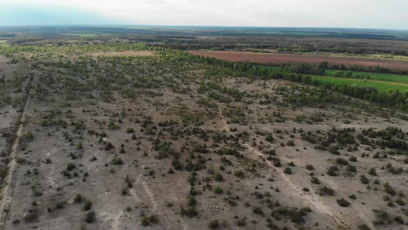 Flying Over a Field with Green Vegetation, Trees, Forest, Shrubs and Farmland alt