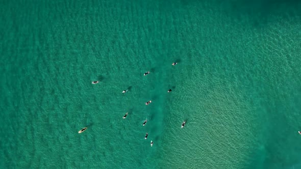 A high view of surfers sitting in the clear ocean water waiting to ride the waves alt