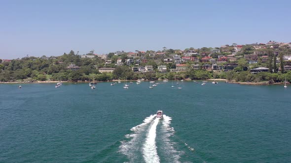 Speedboat Heading Towards Milk Beach in Sydney Harbour Suburbs alt