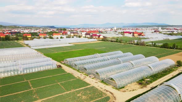 Aerial View of a Greenhouse Fields of Green Plantations for Growing Vegetables alt