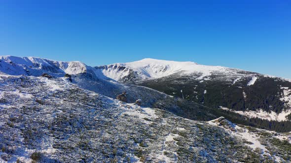 Landscapes of the Carpathian Mountains Covered with Large Stone Ledges in Ukraine Near the Village alt
