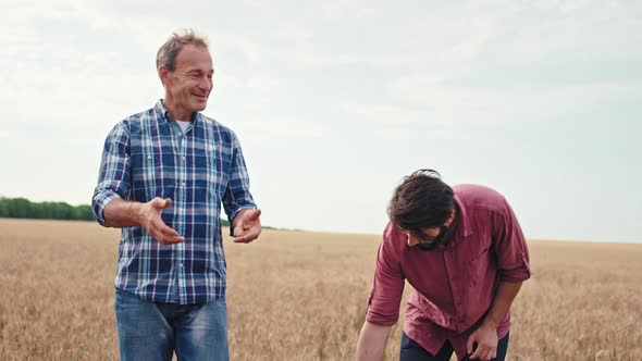 Father Old Farmer Teaching His Son About the Wheat alt