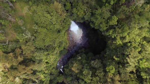 Fresh Water Flows In Wild Jungle
