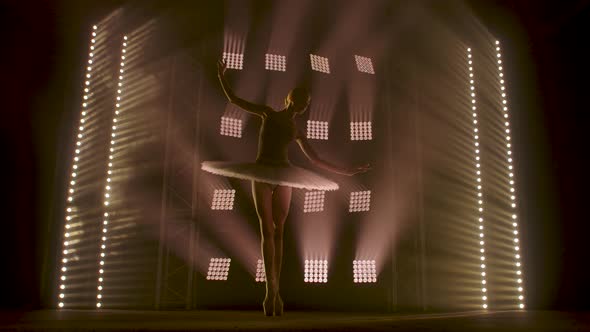 Professional Ballerina Dancing Ballet in Spotlights Smoke on Big Stage. Beautiful Young Girl Wearing alt