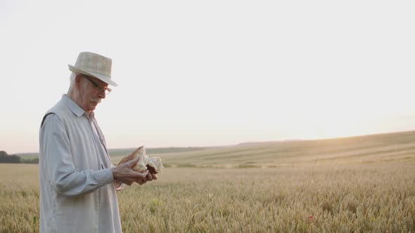 Senior Man in Hat Breaks a Loaf of Bread and Sniffs It with Joy in Wheat Field alt
