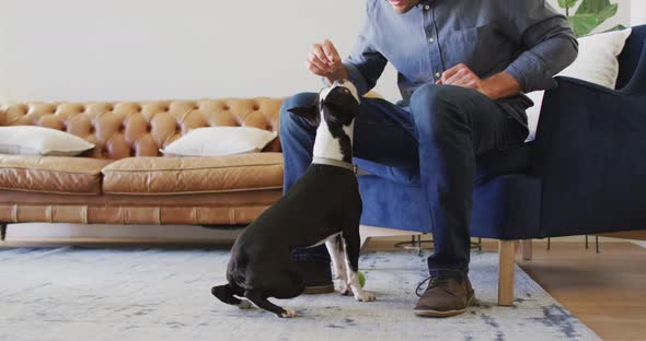 Happy caucasian man training and feeding his dog at home alt