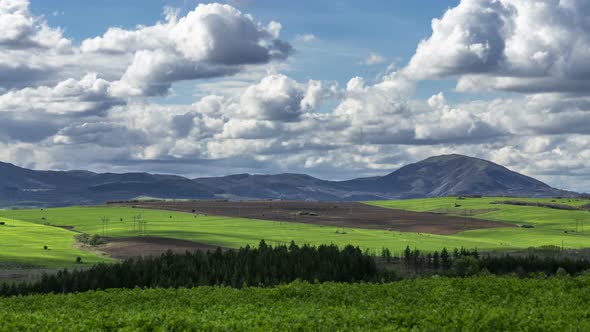 Summer Landscape alt