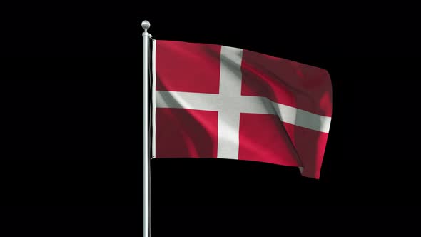 Denmark Flag Big