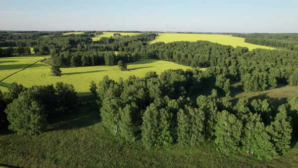 Asphalt Highway Road Among the Summer Field Under Blue Cloudy Sky alt