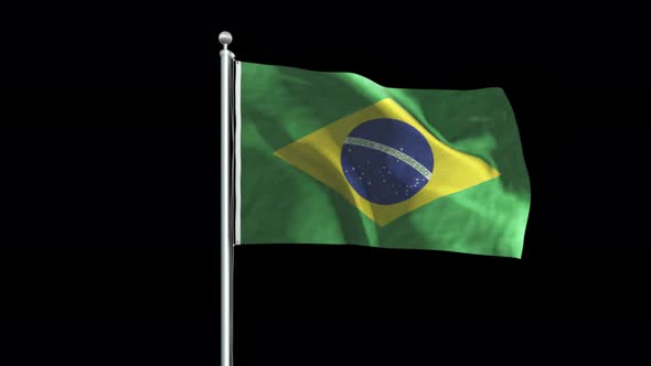 Brazil Flag Big