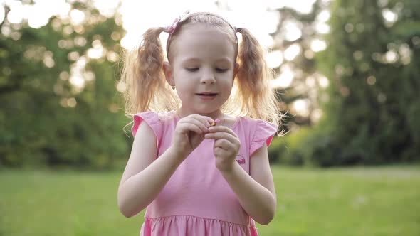 Cute Little Girl with Pony Tails Picking Flower's Petals on Meadow