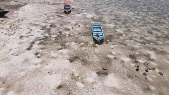 Zanzibar Tanzania  Low Tide in the Ocean Near the Shore alt