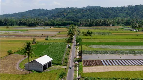 Road through cultivated fields in remote rural area of Indonesia aerial panorama alt