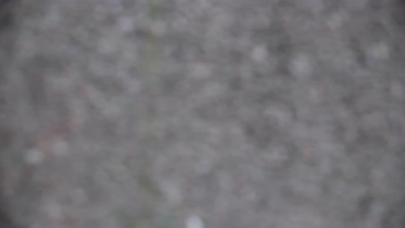 African American boy happy to play with sand in playground alt