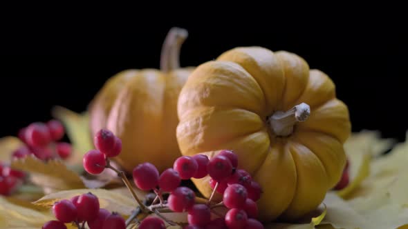 Autumn Harvest Vegetables on Decorative Showcase Isolated on Black Background