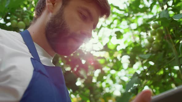 Agribusiness Owner Checking Growth Level Technological Device in Farm Closeup alt