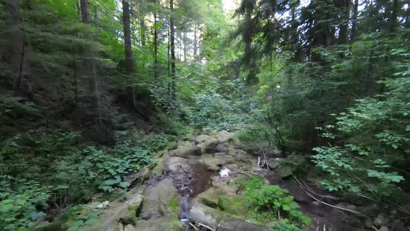 FPV Aerial Drone Shot of Dried Up River or Small Mountain Creek Deep in Green Forest alt