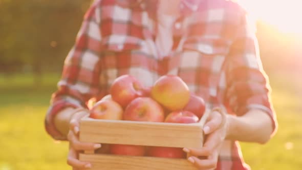 Young slim woman in casual clothes holds in her hands a wooden box