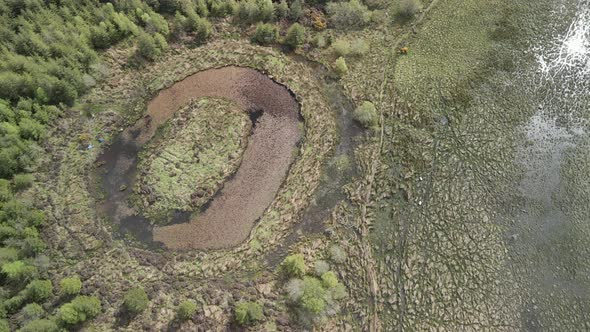 Animal tracks in field and small pond alt