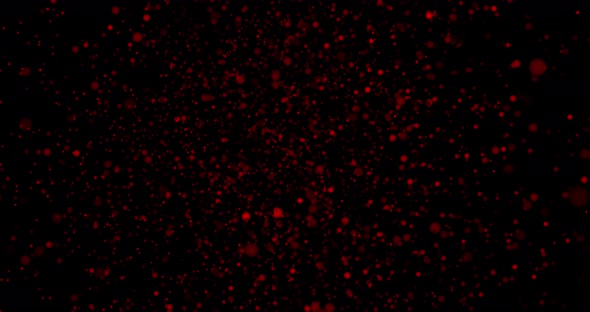 Abstract  bubbles background.Dark red background animation.