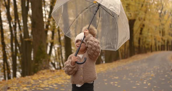 Little Baby with a Transparent Umbrella in the Autumn Park alt