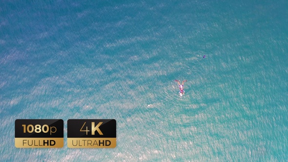 AH - Aerial View of Divers Swimming 02 alt